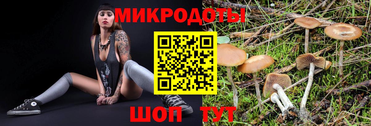 Тихорецк  Галлюциногенные грибы Psilocybe  Вход с VPN 